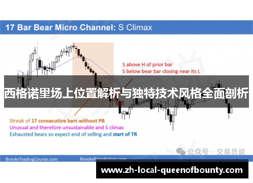 西格诺里场上位置解析与独特技术风格全面剖析
